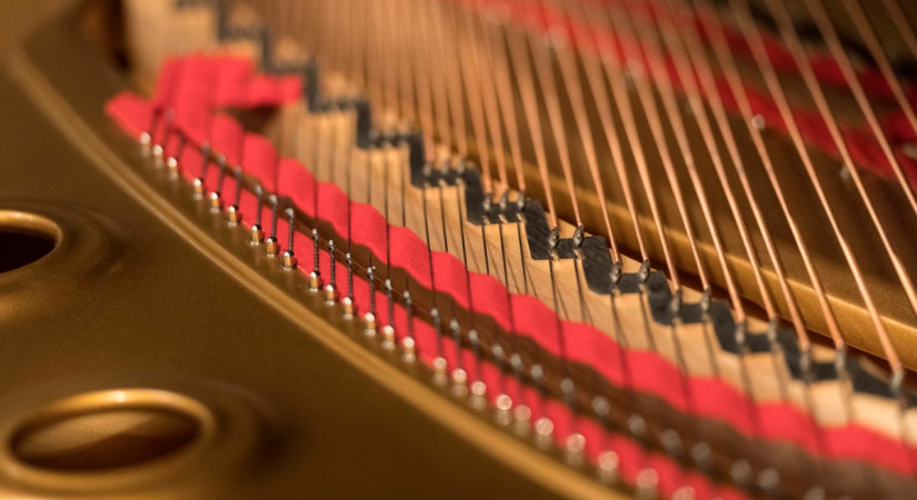 Students of Márta Gulyás