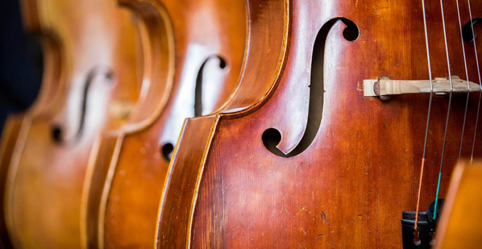 Violin at a High Level